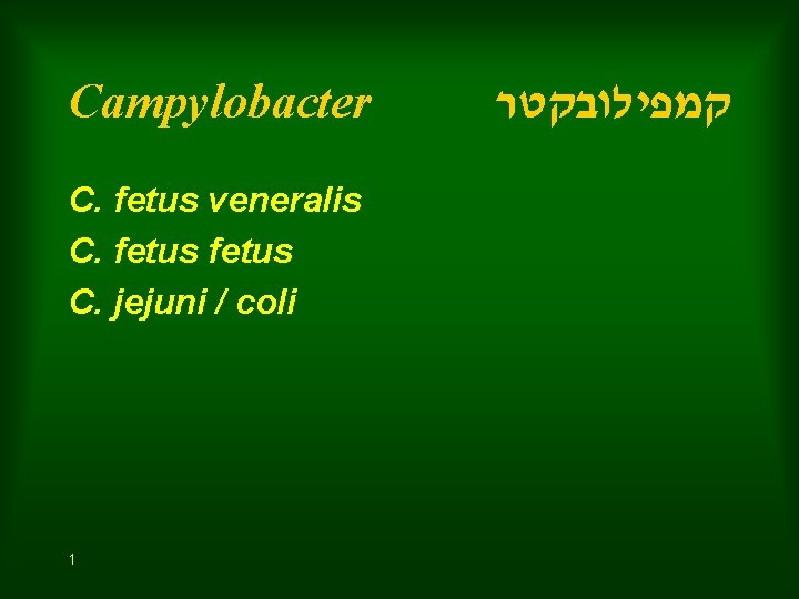Campylobacter C. fetus veneralis C. fetus C. jejuni / coli 1 קמפילובקטר 