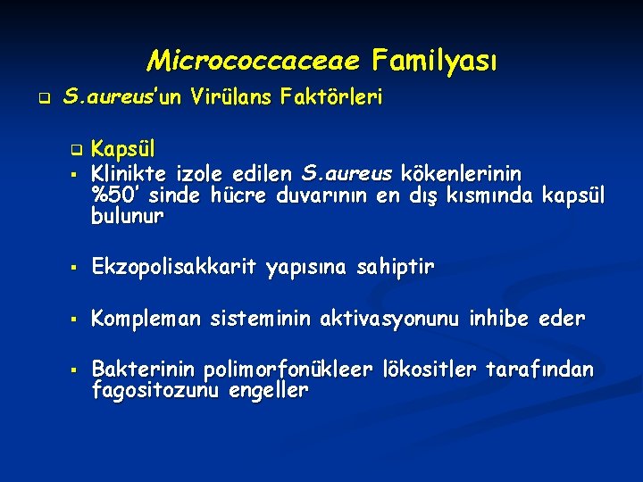 Micrococcaceae Familyası q S. aureus’un Virülans Faktörleri § Kapsül Klinikte izole edilen S. aureus