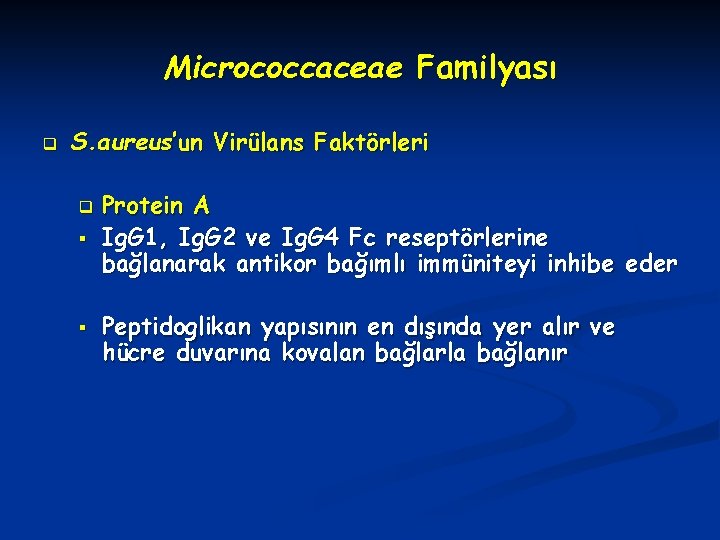 Micrococcaceae Familyası q S. aureus’un Virülans Faktörleri q § § Protein A Ig. G