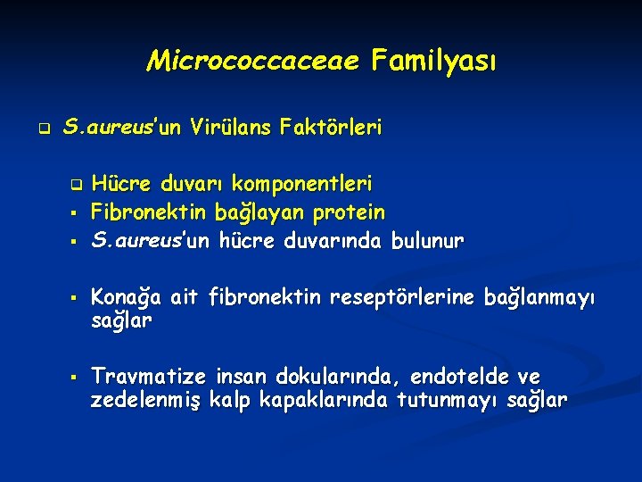 Micrococcaceae Familyası q S. aureus’un Virülans Faktörleri q § § Hücre duvarı komponentleri Fibronektin