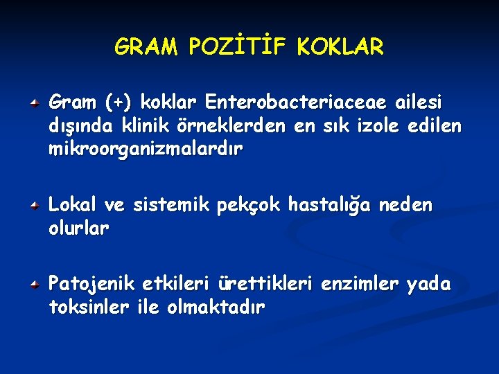 GRAM POZİTİF KOKLAR Gram (+) koklar Enterobacteriaceae ailesi dışında klinik örneklerden en sık izole