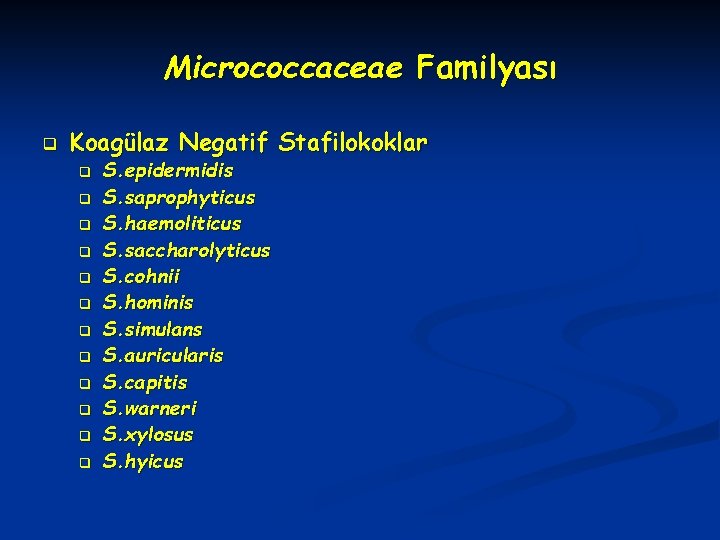 Micrococcaceae Familyası q Koagülaz Negatif Stafilokoklar q q q S. epidermidis S. saprophyticus S.