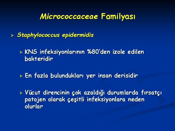 Micrococcaceae Familyası Ø Staphylococcus epidermidis Ø Ø Ø KNS infeksiyonlarının %80’den izole edilen bakteridir