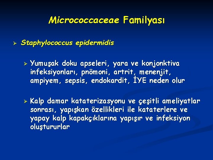Micrococcaceae Familyası Ø Staphylococcus epidermidis Ø Ø Yumuşak doku apseleri, yara ve konjonktiva infeksiyonları,