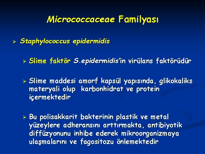 Micrococcaceae Familyası Ø Staphylococcus epidermidis Ø Ø Ø Slime faktör S. epidermidis’in virülans faktörüdür