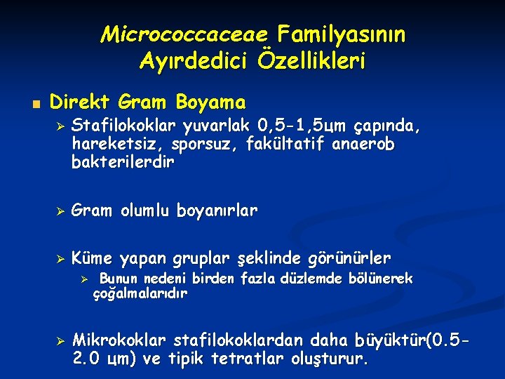 Micrococcaceae Familyasının Ayırdedici Özellikleri Direkt Gram Boyama Ø Stafilokoklar yuvarlak 0, 5 -1, 5