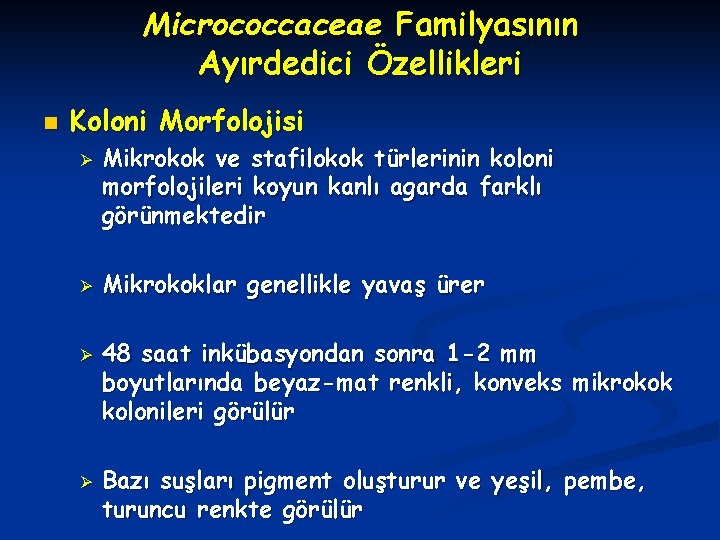 Micrococcaceae Familyasının Ayırdedici Özellikleri n Koloni Morfolojisi Ø Ø Mikrokok ve stafilokok türlerinin koloni
