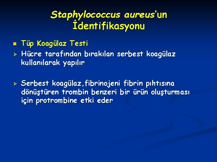 Staphylococcus aureus’un İdentifikasyonu n Ø Ø Tüp Koagülaz Testi Hücre tarafından bırakılan serbest koagülaz
