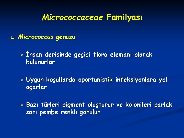 Micrococcaceae Familyası q Micrococcus genusu Ø Ø Ø İnsan derisinde geçici flora elemanı olarak