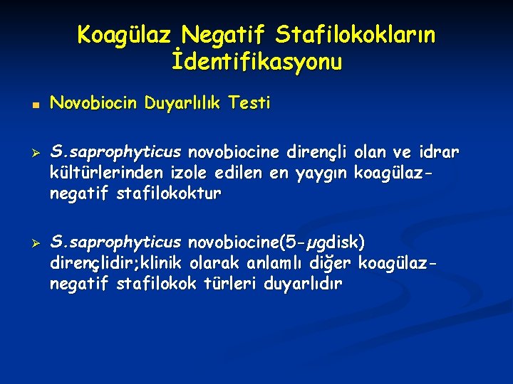 Koagülaz Negatif Stafilokokların İdentifikasyonu Novobiocin Duyarlılık Testi Ø Ø S. saprophyticus novobiocine dirençli olan