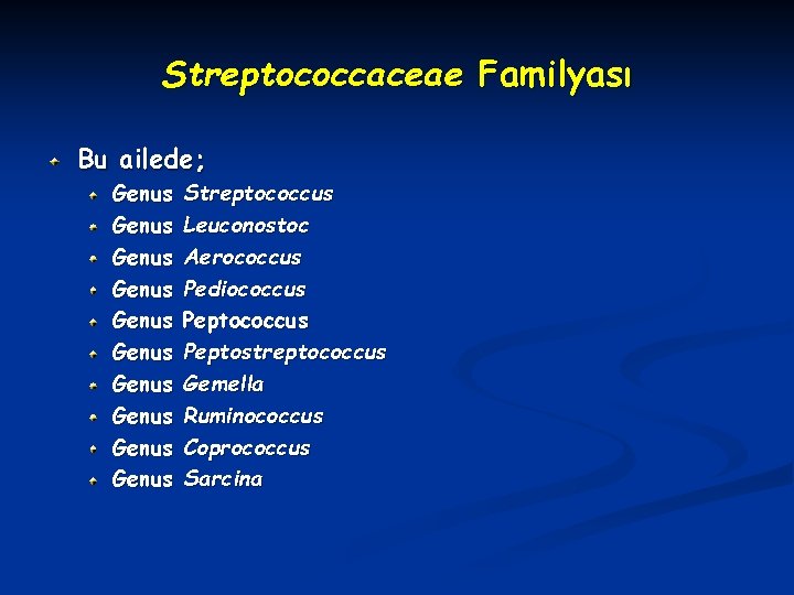Streptococcaceae Familyası Bu ailede; Genus Genus Genus Streptococcus Leuconostoc Aerococcus Pediococcus Peptostreptococcus Gemella Ruminococcus