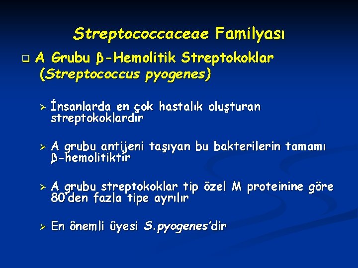 Streptococcaceae Familyası q A Grubu β-Hemolitik Streptokoklar (Streptococcus pyogenes) Ø İnsanlarda en çok hastalık