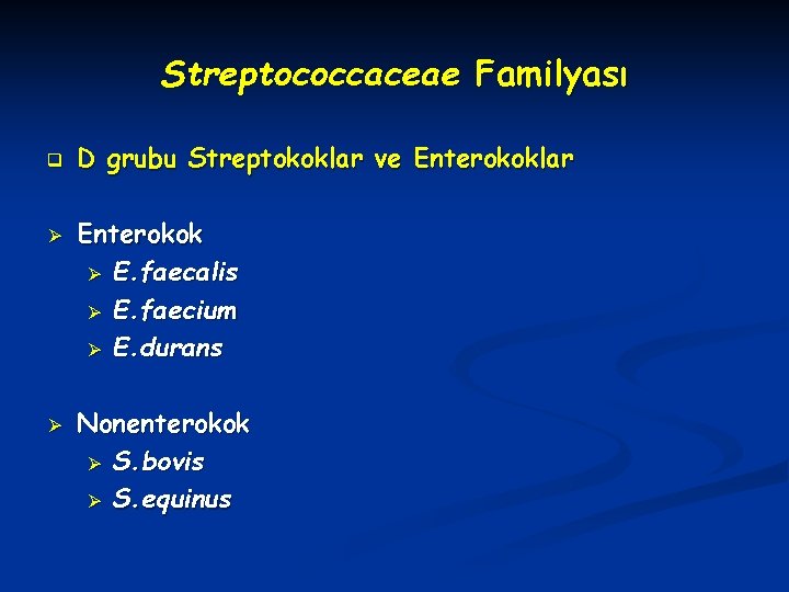 Streptococcaceae Familyası q Ø Ø D grubu Streptokoklar ve Enterokoklar Enterokok Ø E. faecalis