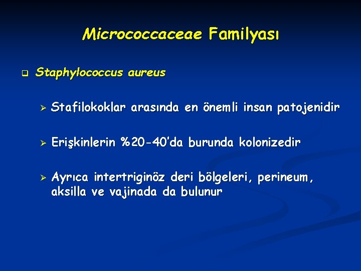 Micrococcaceae Familyası q Staphylococcus aureus Ø Stafilokoklar arasında en önemli insan patojenidir Ø Erişkinlerin