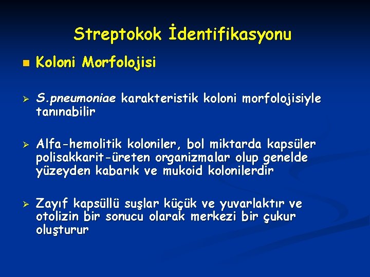 Streptokok İdentifikasyonu n Ø Ø Ø Koloni Morfolojisi S. pneumoniae karakteristik koloni morfolojisiyle tanınabilir