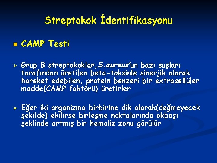 Streptokok İdentifikasyonu n Ø Ø CAMP Testi Grup B streptokoklar, S. aureus’un bazı suşları