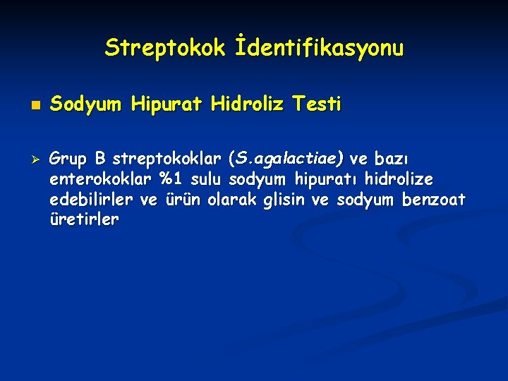 Streptokok İdentifikasyonu n Ø Sodyum Hipurat Hidroliz Testi Grup B streptokoklar (S. agalactiae) ve