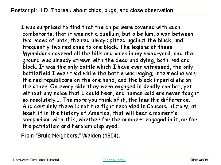 Postscript: H. D. Thoreau about chips, bugs, and close observation: I was surprised to