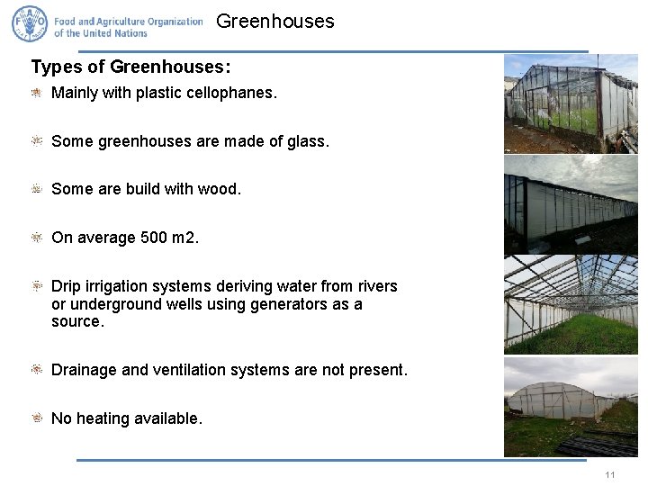 Greenhouses Types of Greenhouses: Mainly with plastic cellophanes. Some greenhouses are made of glass.