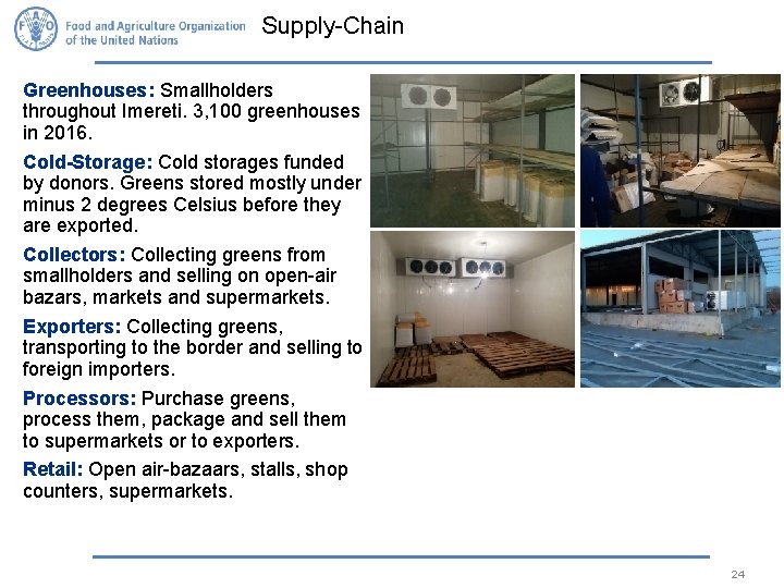 Supply-Chain Greenhouses: Smallholders throughout Imereti. 3, 100 greenhouses in 2016. Cold-Storage: Cold storages funded