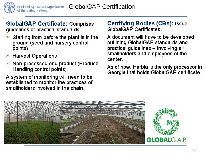 Global. GAP Certification Global. GAP Certificate: Comprises guidelines of practical standards. Starting from before