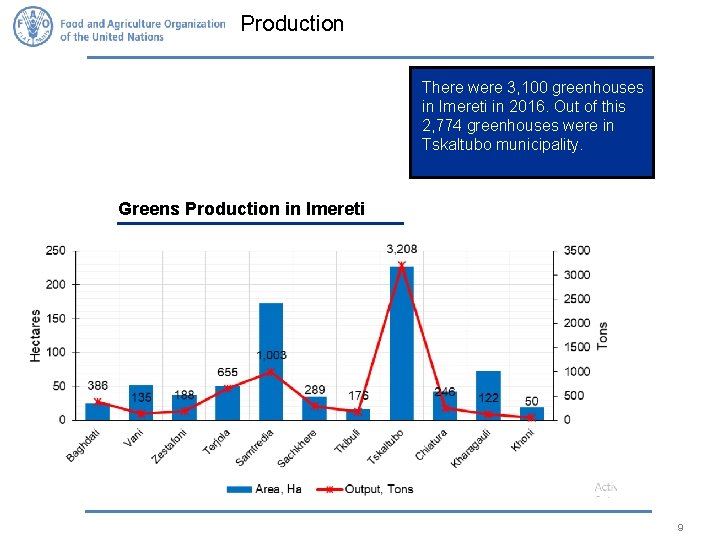 Production There were 3, 100 greenhouses in Imereti in 2016. Out of this 2,