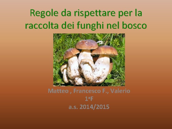 Regole da rispettare per la raccolta dei funghi nel bosco Matteo , Francesco F.