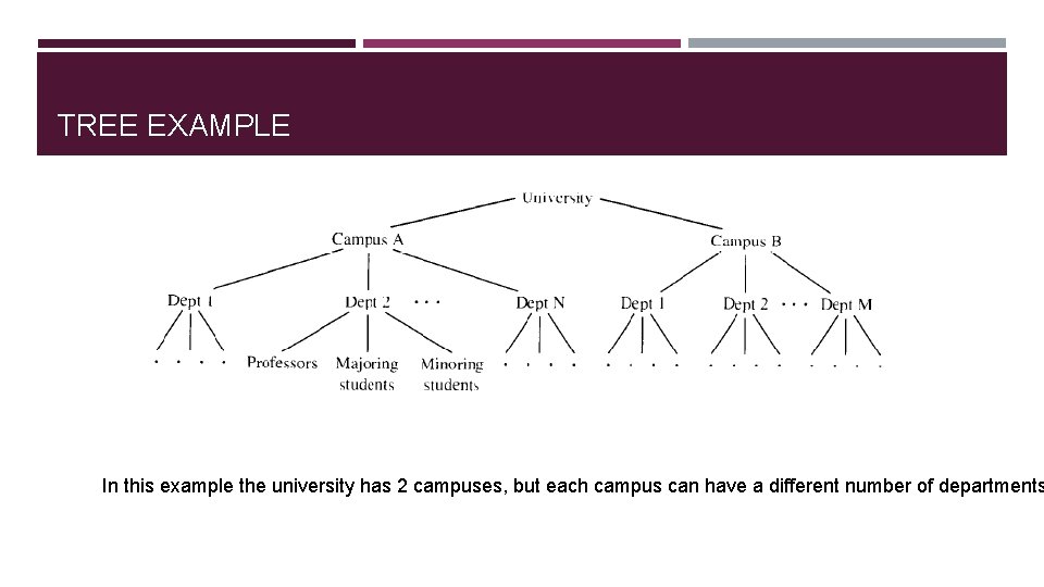 TREE EXAMPLE In this example the university has 2 campuses, but each campus can