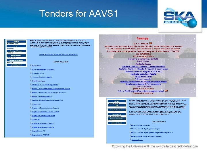 Tenders for AAVS 1 