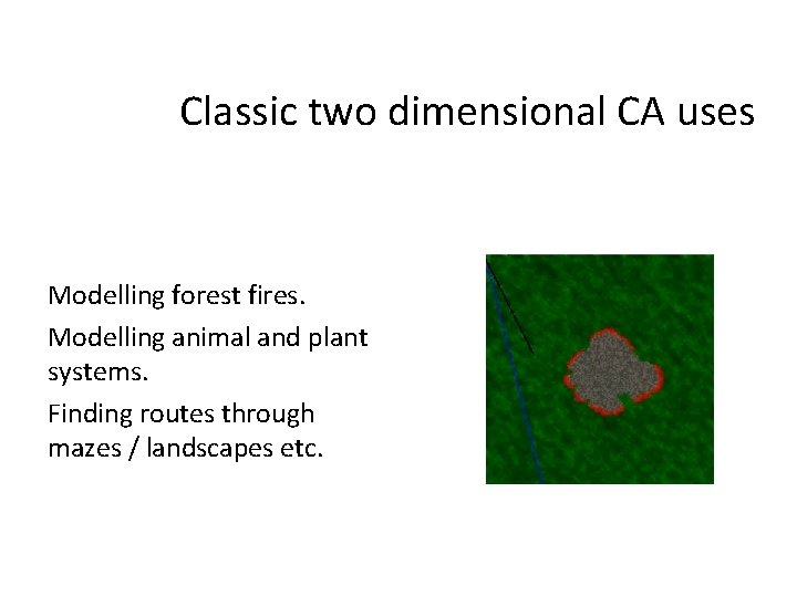 Classic two dimensional CA uses Modelling forest fires. Modelling animal and plant systems. Finding