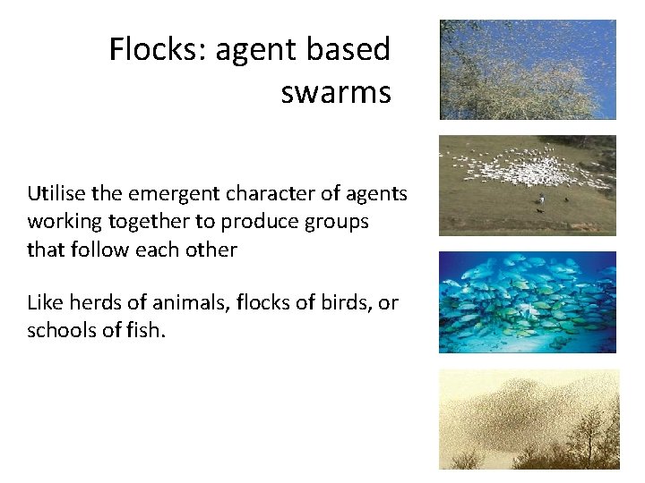 Flocks: agent based swarms Utilise the emergent character of agents working together to produce