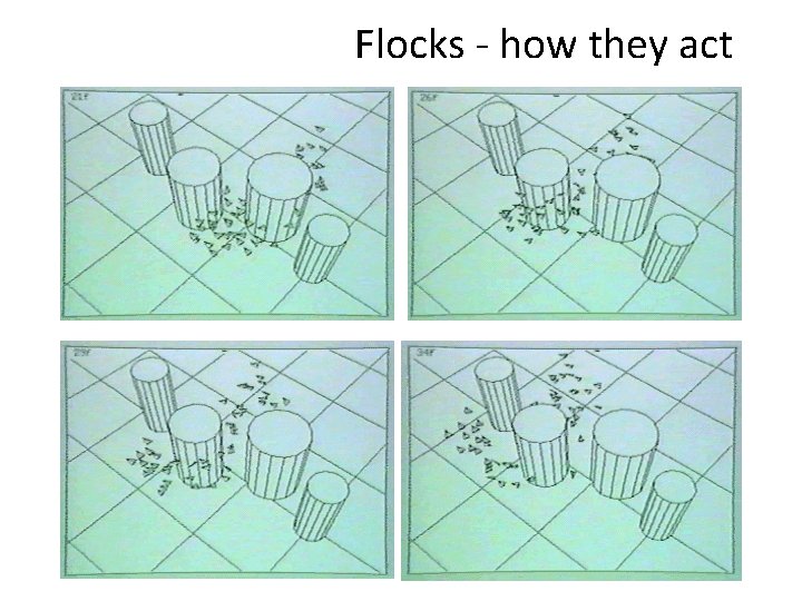 Flocks - how they act 