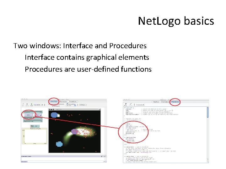 Net. Logo basics Two windows: Interface and Procedures Interface contains graphical elements Procedures are