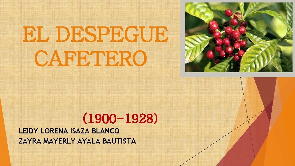 EL DESPEGUE CAFETERO (1900 -1928) LEIDY LORENA ISAZA BLANCO ZAYRA MAYERLY AYALA BAUTISTA 