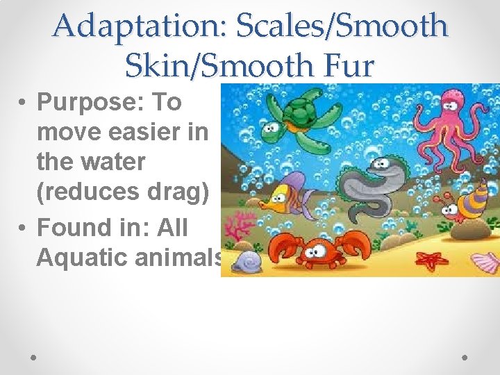 Adaptation: Scales/Smooth Skin/Smooth Fur • Purpose: To move easier in the water (reduces drag)