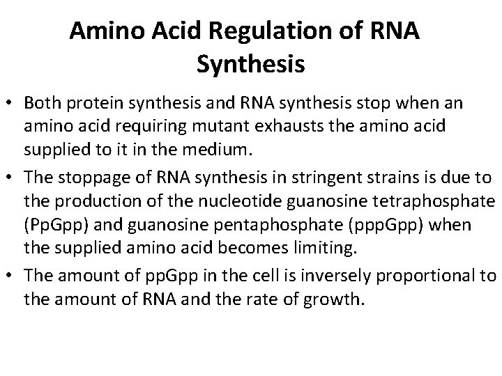 Amino Acid Regulation of RNA Synthesis Both protein
