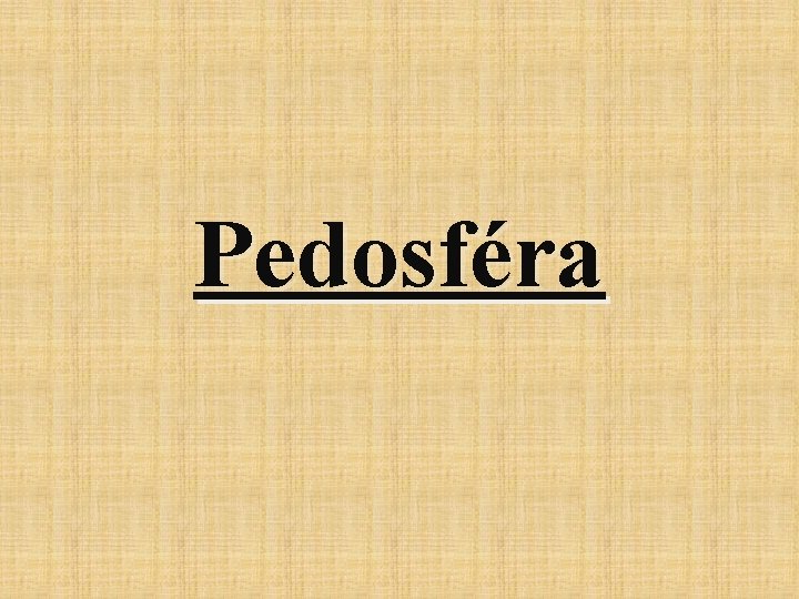 Pedosféra 