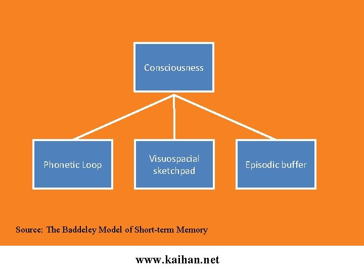 Consciousness Phonetic Loop Visuospacial sketchpad Source: The Baddeley Model of Short-term Memory www. kaihan.