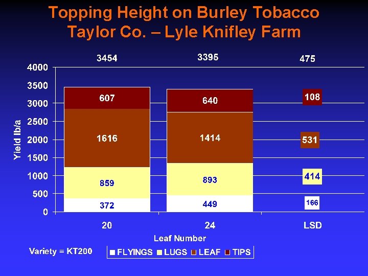 Topping Height on Burley Tobacco Taylor Co. – Lyle Knifley Farm 