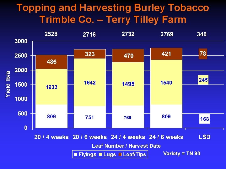 Topping and Harvesting Burley Tobacco Trimble Co. – Terry Tilley Farm 