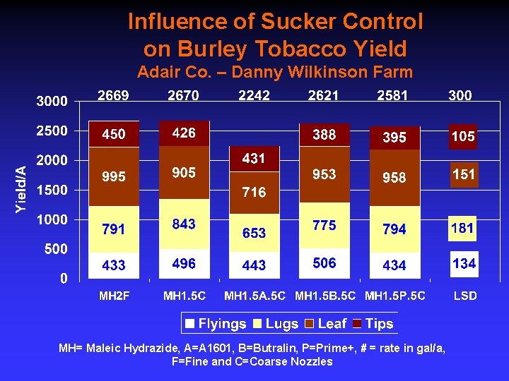 Influence of Sucker Control on Burley Tobacco Yield Adair Co. – Danny Wilkinson Farm