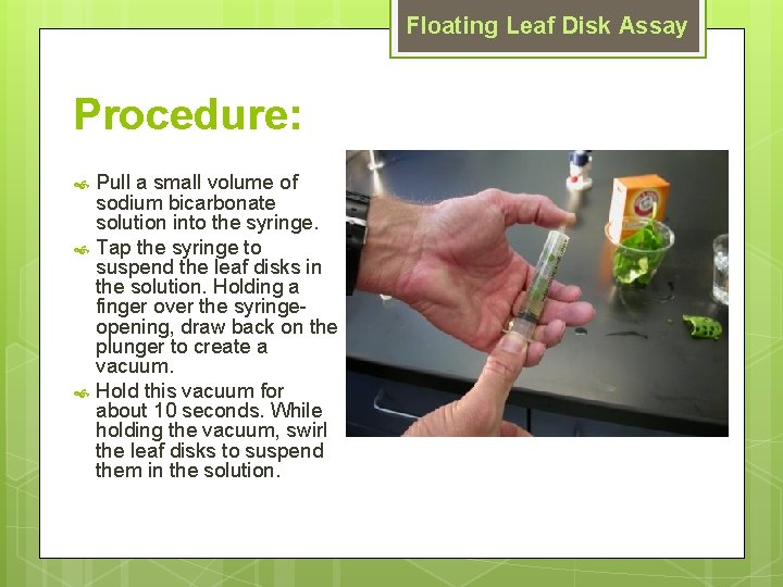 Floating Leaf Disk Assay Procedure: Pull a small volume of sodium bicarbonate solution into