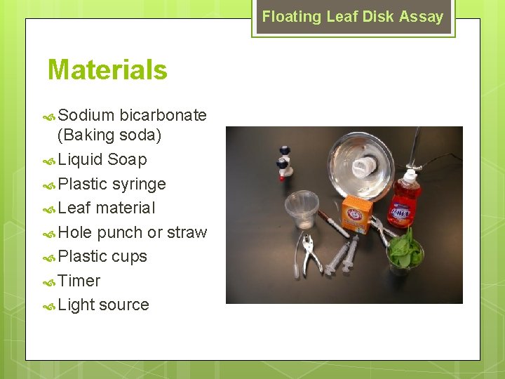 Floating Leaf Disk Assay Materials Sodium bicarbonate (Baking soda) Liquid Soap Plastic syringe Leaf