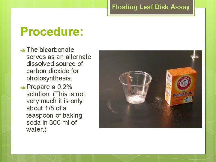 Floating Leaf Disk Assay Procedure: The bicarbonate serves as an alternate dissolved source of