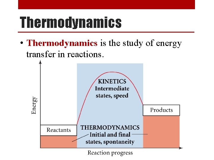 Thermodynamics • Thermodynamics is the study of energy transfer in reactions. 