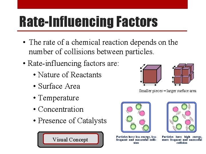 Rate-Influencing Factors • The rate of a chemical reaction depends on the number of