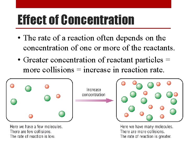 Effect of Concentration • The rate of a reaction often depends on the concentration