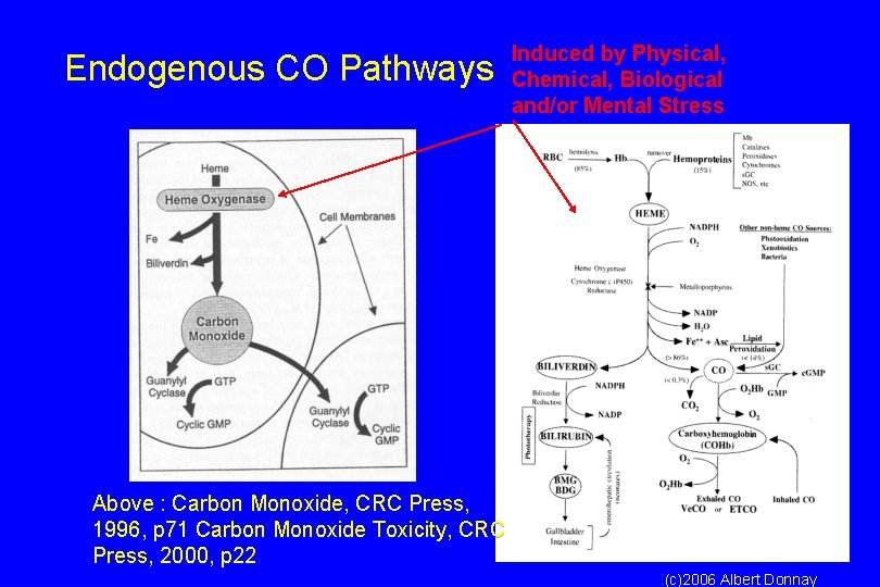 Endogenous CO Pathways Induced by Physical, Chemical, Biological and/or Mental Stress Above : Carbon