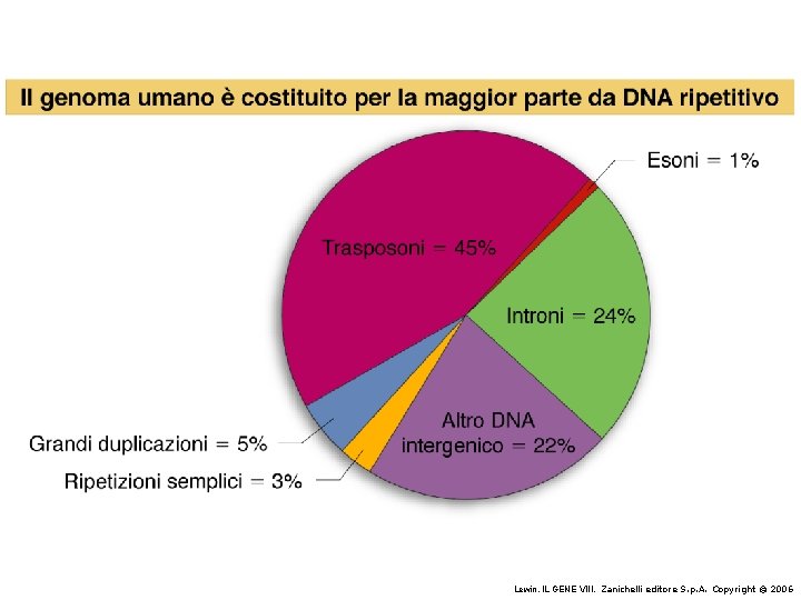 Lewin, IL GENE VIII, Zanichelli editore S. p. A. Copyright © 2006 