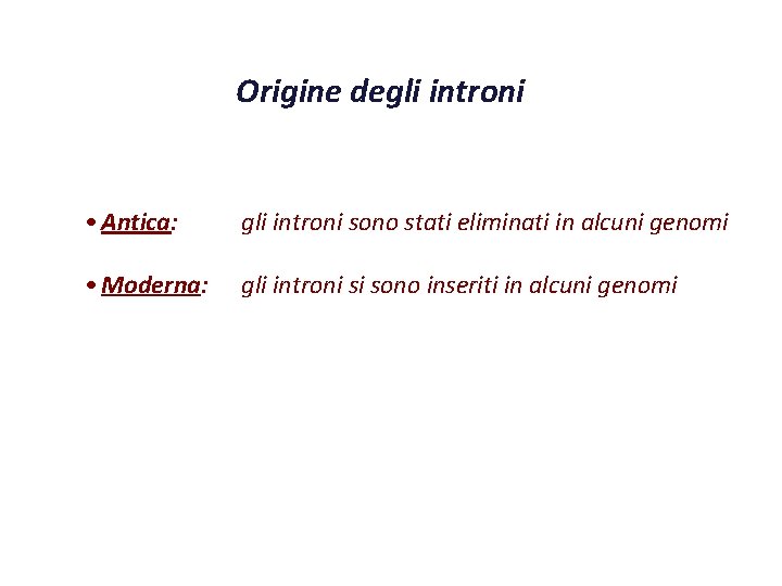 Origine degli introni • Antica: gli introni sono stati eliminati in alcuni genomi •